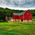 265 Good Names for Farms: A Comprehensive List of Unique and Practical Ideas