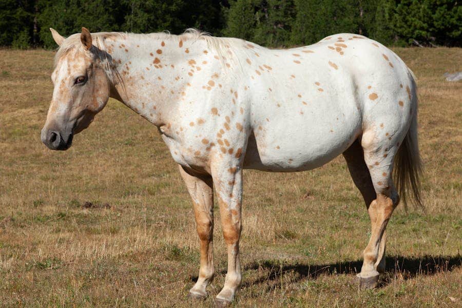 250 Good Names For Unicorns: The Ultimate List for Magical Beings