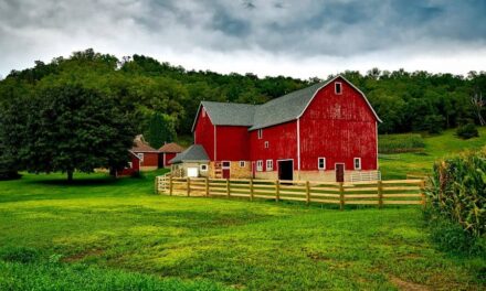 265 Good Names for Farms: A Comprehensive List of Unique and Practical Ideas