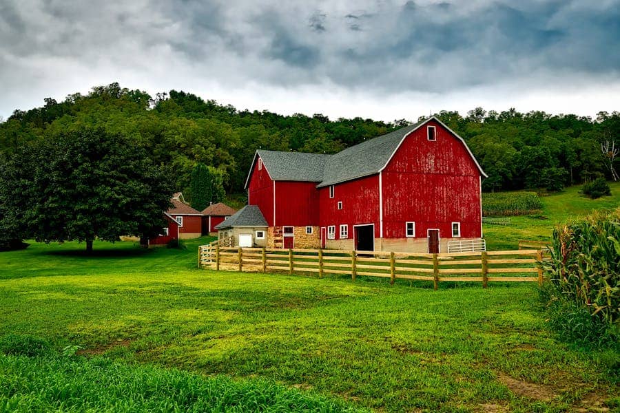 265 Good Names for Farms: A Comprehensive List of Unique and Practical Ideas