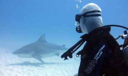 235 Good Names for Girls, 243 Good Names for Boys, and Good Names for a Shark: A Comprehensive List