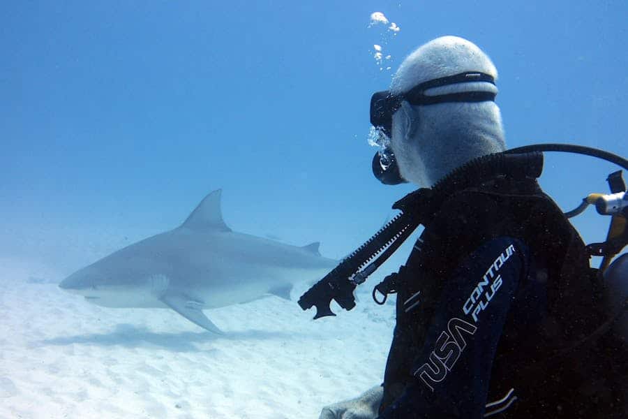 235 Good Names for Girls, 243 Good Names for Boys, and Good Names for a Shark: A Comprehensive List