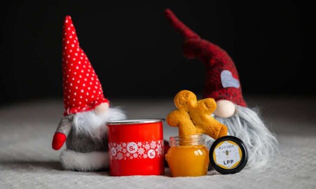 300 Good Names for Gnomes: A Captivating List for Magical Beings