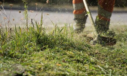235 Good Names for Lawn Care Business: A Compelling List for Your Venture