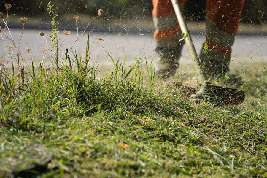 235 Good Names for Lawn Care Business: A Compelling List for Your Venture