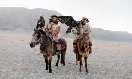 270 Good Names for Male Horses: A Preferred Compilation