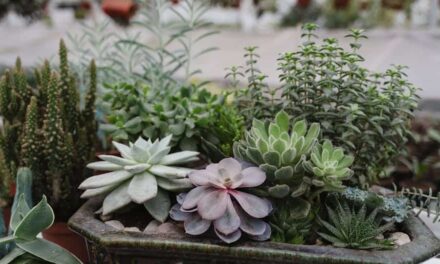 275 Good Names for Plants: A Curated List for Green Thumbs