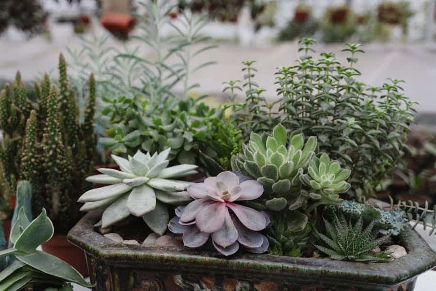 275 Good Names for Plants: A Curated List for Green Thumbs