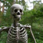 235 Good Names for Skeletons: A Compelling List for Creative Minds