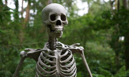 235 Good Names for Skeletons: A Compelling List for Creative Minds