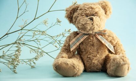 253 Good Names for Teddy Bears: A Comprehensive List