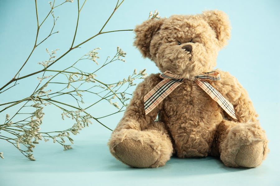 253 Good Names for Teddy Bears: A Comprehensive List