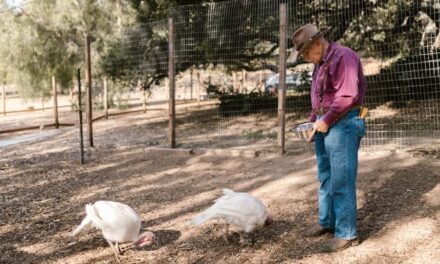 235 Good Names for Turkeys: A Comprehensive Name List