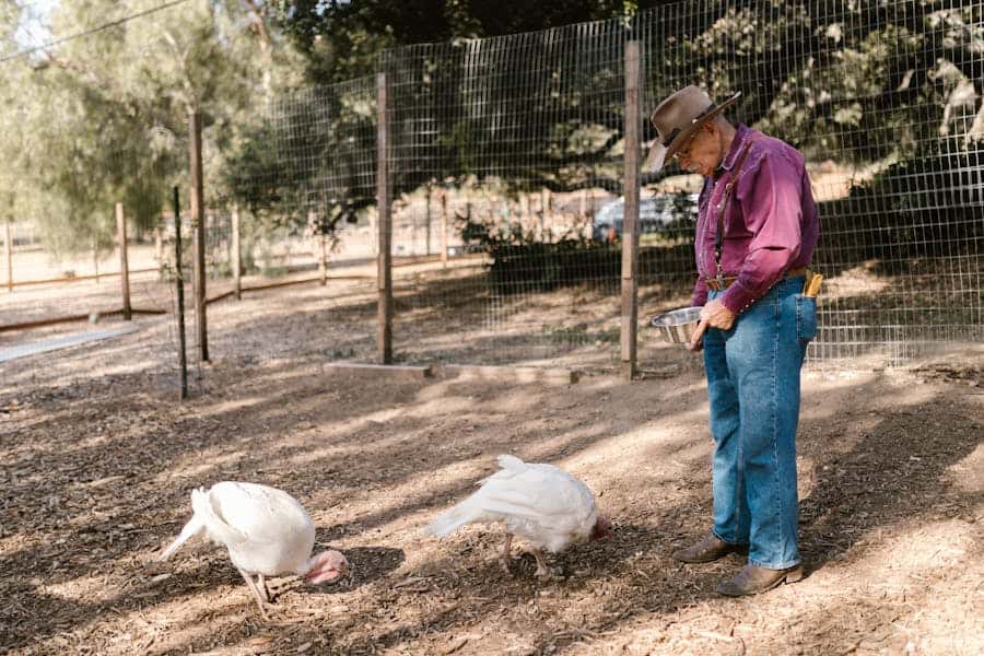 235 Good Names for Turkeys: A Comprehensive Name List