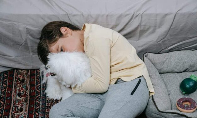 300 Good Names for a Boy Dog: Your Preferred List