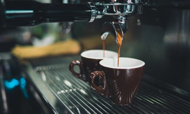 235 Good Names for a Cafe: A Curated List for Your Unique Space