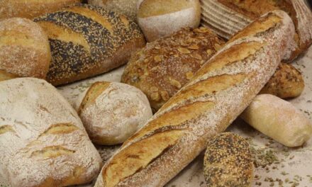 235 good names for sourdough starter: creative and fun list
