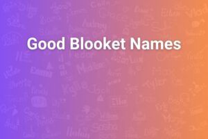 good blooket names