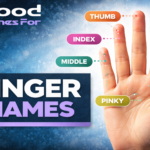 Finger Names Explained: Meaning, Anatomy, and Everyday Use