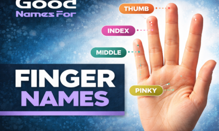 Finger Names Explained: Meaning, Anatomy, and Everyday Use