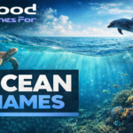 Ocean Names: Meanings, Origins, History, and Inspiration